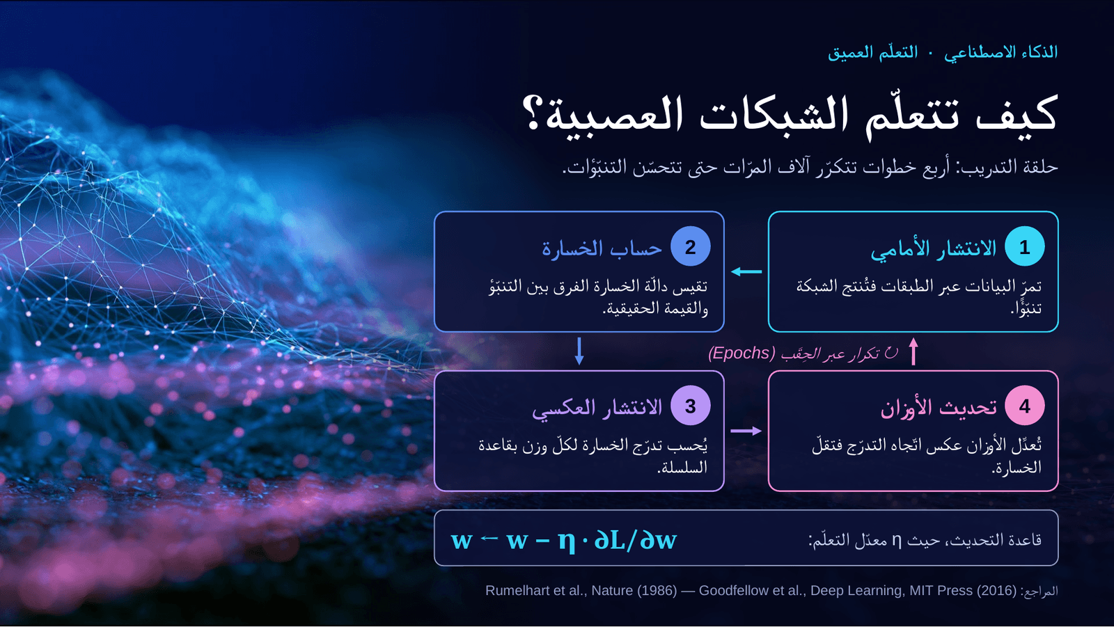 شريحة بالعربية فيها مخطّط يشرح كيف تتعلّم الشبكات العصبية